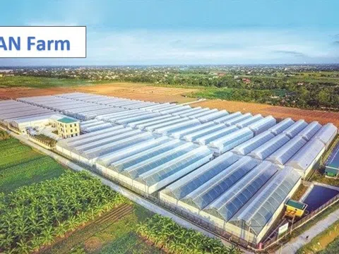 Một công ty con của Pan Group vay nợ ngân hàng tăng gấp 5,7 lần