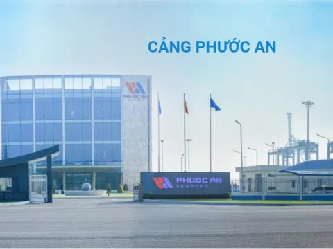 Cảng Phước An (PAP) bị xử phạt vì công bố sai thông tin và giao dịch “mờ ám”