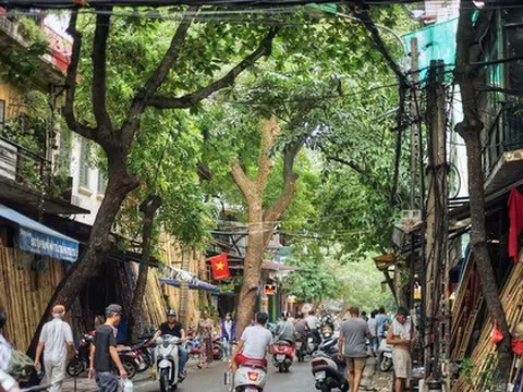 Một công ty bị thu hồi 2 cơ sở nhà, đất nằm trên khu đất "vàng" phố cổ Hà Nội