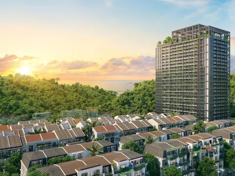 Dự án Sun Group tâm điểm thị trường căn hộ cho thuê tại trung tâm Cát Bà