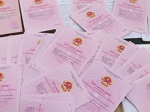 Truy tố Trần Thị Hường giả danh Trưởng văn phòng luật sư, hứa làm sổ đỏ, chiếm đoạt hơn 10 tỷ