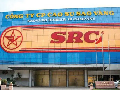 Cao su Sao Vàng chốt ngày trả cổ tức 2024 bằng tiền, Tập đoàn Hoành Sơn nhận về bao nhiêu?