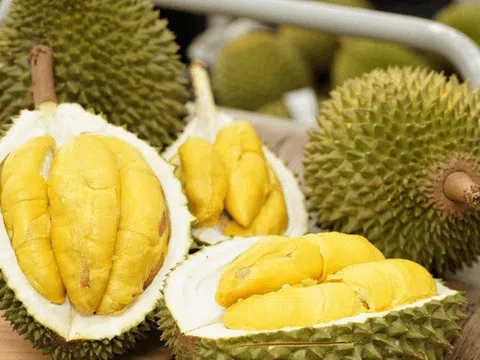 Sầu riêng Việt Nam: Từ 'báo động đỏ' tới tham vọng thương hiệu quốc gia