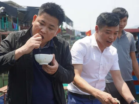 Đặc sản Vũng Áng vào mùa, bán tiền triệu một cân vẫn 'cháy hàng', khách ăn sống tại chỗ