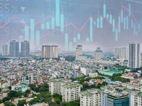 Cổ phiếu bất động sản nổi sóng, Novaland tăng kịch trần “trắng bên bán”, điều gì đang xảy ra?