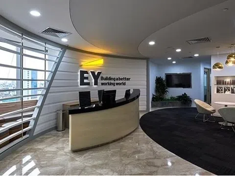 Một công ty kiểm toán trong Big 4 báo lãi chưa tới 500 triệu đồng, giảm 94%, thuế TNDN phải nộp bằng 0
