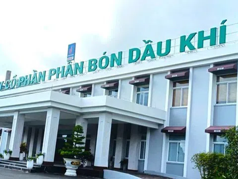 Thay đổi lãnh đạo tại Công ty phân bón dầu khí Cà Mau