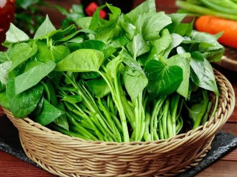 Loại rau từng dùng chống đói nay lại là ‘nhân sâm của người nghèo’: Giá chỉ 25.000 đồng/kg, được bán bạt ngàn ngoài chợ