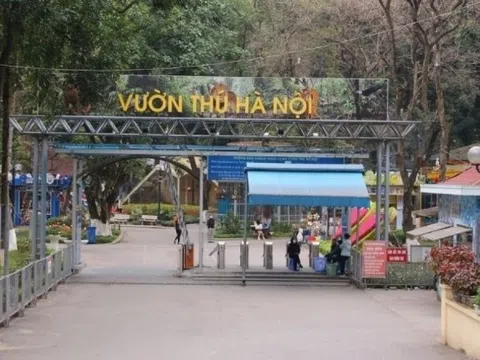 Là vườn thú duy nhất tại Hà Nội, Thủ Lệ 'hốt bạc' gần 48 tỷ nhờ bán vé vào cổng