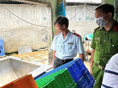Đang kiểm tra lò mổ heo gia công cho Công ty C.P tại Hậu Giang