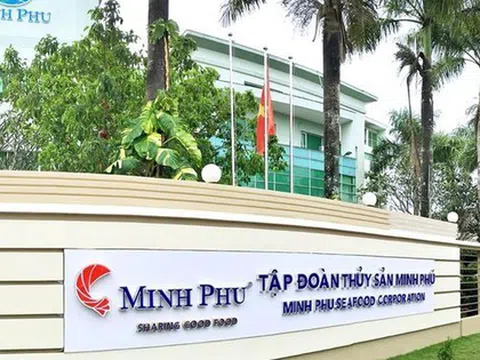 Thủy sản Minh Phú kỳ vọng có lãi trở lại trong năm 2025, con gái Chủ tịch được đề cử vào HĐQT