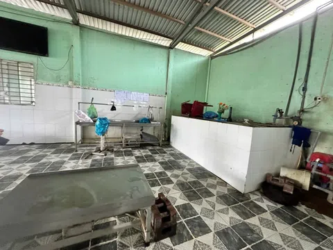 Đại diện C.P Việt Nam thừa nhận hình ảnh "tố" heo bệnh là thật, chủ cơ sở giết mổ gia công chia sẻ thông tin nóng