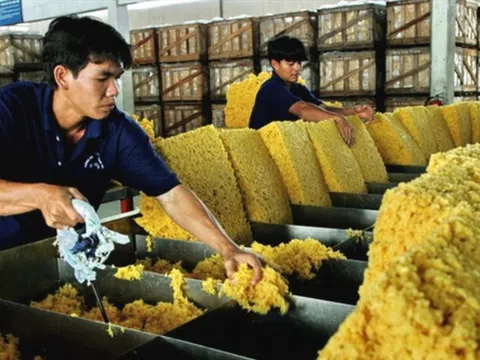 Toàn thế giới khan hiếm, Việt Nam tăng tốc xuất khẩu một mặt hàng: Mục tiêu đạt 11 tỷ USD năm 2025
