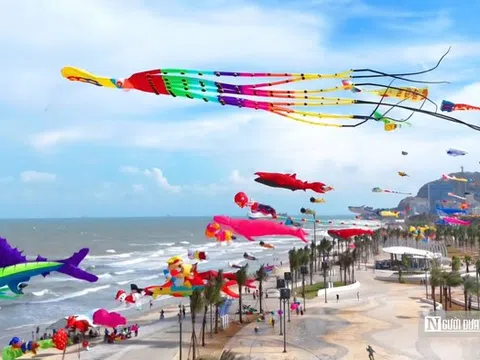 Gần 3.000 tỷ đồng vốn dự phòng của Bà Rịa - Vũng Tàu sẽ “chảy” về những công trình nào?