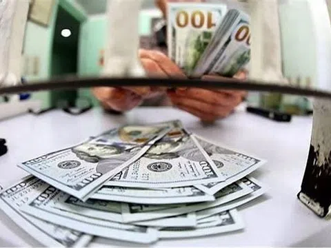 Tỷ giá trung tâm lần đầu chạm mức cao kỷ lục 25.000 VND/USD