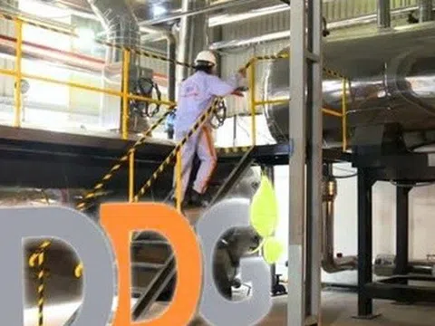 Xuất nhập khẩu Đông Dương ‘khất nợ’ hơn 380 tỷ đồng gốc, lãi trái phiếu