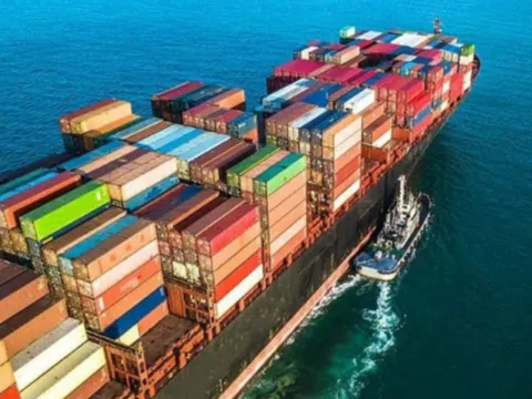 Ngành hàng của Việt Nam số 2 Đông Nam Á, top 15 thế giới về xuất khẩu đang thúc đẩy tái cấu trúc mạnh mẽ để thích ứng thị trường khó tính