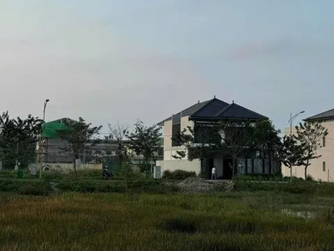 Mua đất quê 1.200m2 từ thời giá chỉ 500.000 đồng, người phụ nữ vui mừng: Vừa rao bán 6,5 tỷ đồng đã có người mua ngay