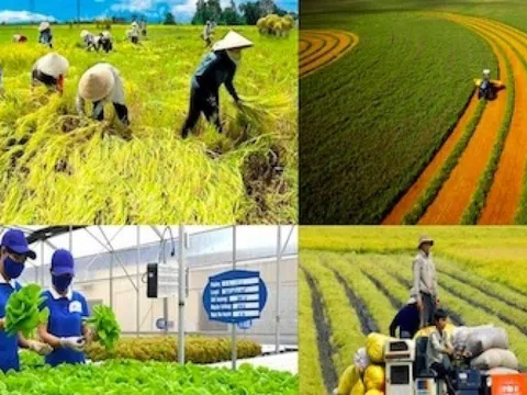 Thị trường tỷ dân nghiện thứ gì từ Việt Nam đến mức chiếm 99,8% lượng mua?