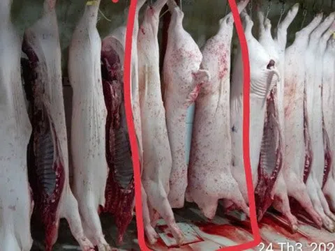 Vụ tố cửa hàng C.P. Việt Nam: Ông L.Q.N lại tung thêm bằng chứng?