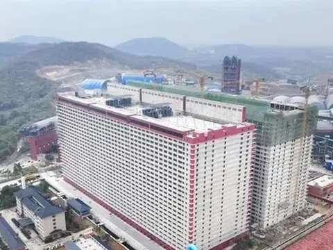 Đề xuất xây 'chung cư' cho... lợn