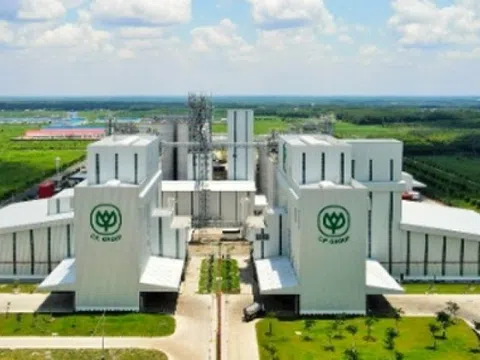 Nhà máy chế biến thịt gia cầm của C.P. tại Hà Nội đạt tiêu chuẩn vệ sinh, không phát hiện vi phạm