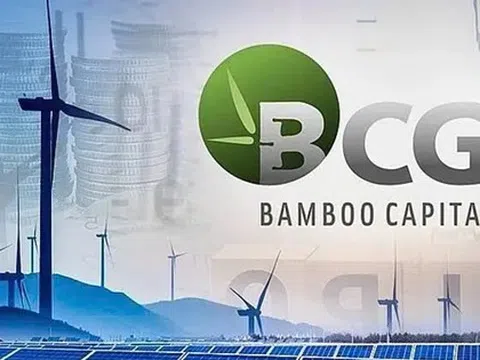 Bamboo Capital bổ nhiệm nhân sự 30 tuổi phụ trách quản trị