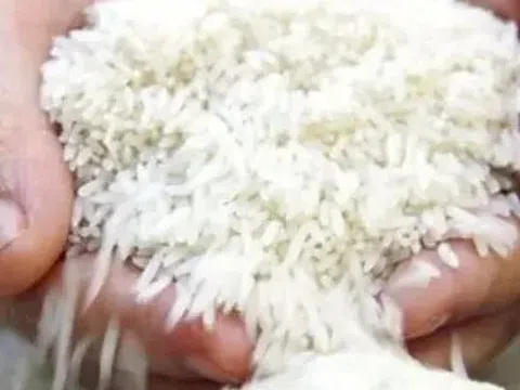 Gạo Ấn Độ rớt giá sâu, Việt Nam đứng vững