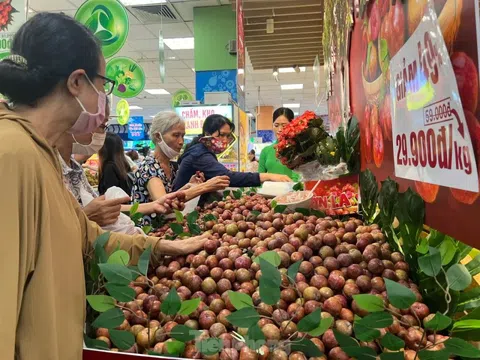 Bất ngờ với giá mận hậu vào mùa ở TPHCM