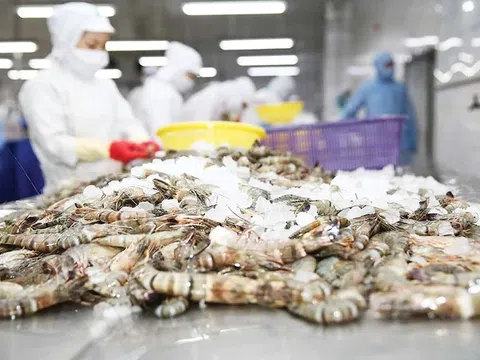 Bất ngờ về thủy sản Việt Nam xuất khẩu