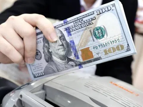 Lưu ý: Những điều cần biết về giao dịch USD tại Việt Nam để vừa có lợi lại không bị phạt nặng