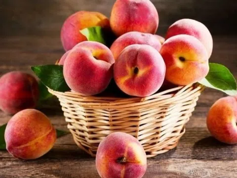 Nông dân các tỉnh miền núi phía Bắc trúng đậm trái 'vàng mùa hè', chị em đổ xô săn lùng với mức giá chỉ từ 15.000 đồng/kg