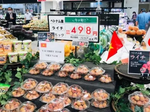 Việt Nam đang vào mùa loại quả ngọt lịm, giá rẻ bèo ở chợ quê, lên kệ Nhật bán hơn 300.000 đồng/kg