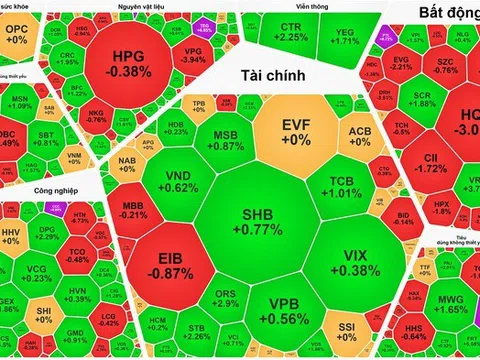 Cổ phiếu Vingroup đảo chiều tăng, VN-Index lấy lại mốc 1.315 điểm