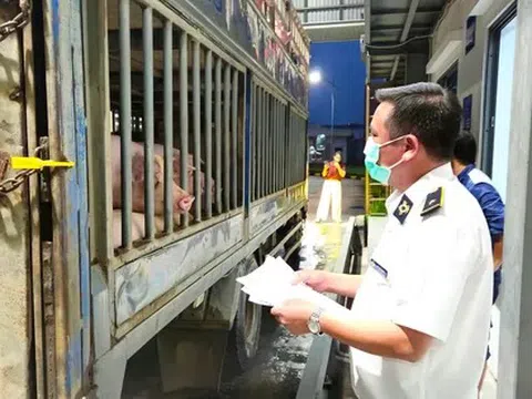 Hà Nội: Liên ngành đột xuất kiểm tra Công ty C.P trong đêm