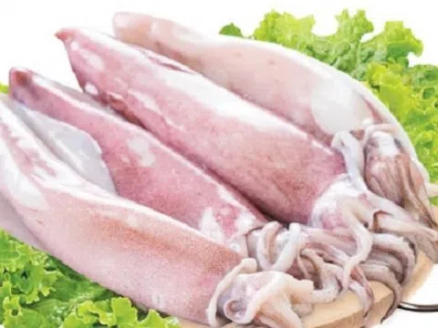 'Kho báu dưới nước' của Việt Nam vừa thu về hơn 215 triệu USD: Mỹ, Nhật Bản, Thái Lan tích cực săn đón