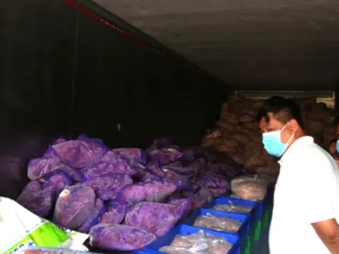 Lời khai của các ông chủ hé lộ chiêu nguỵ trang thực phẩm bẩn tinh vi để qua mắt công an