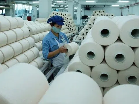 Lãnh đạo Sợi Thế Kỷ bán toàn bộ gần 6,9 triệu cổ phiếu STK đang nắm giữ