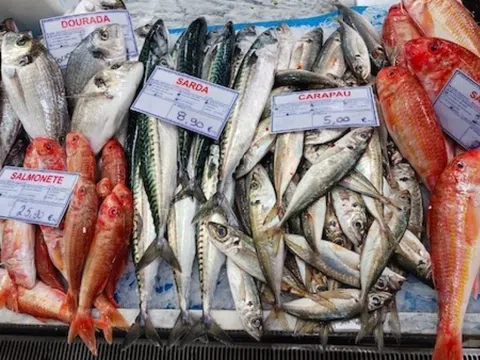 Không phải tôm hay cá basa, siêu thực phẩm Việt bất ngờ làm mưa làm gió ở Bồ Đào Nha