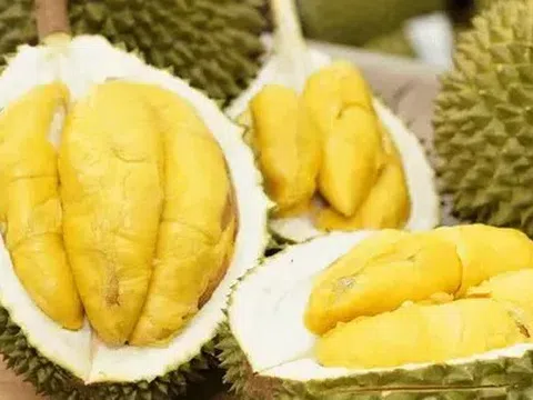 Sầu riêng đông lạnh Việt "rộng đường" vào Trung Quốc