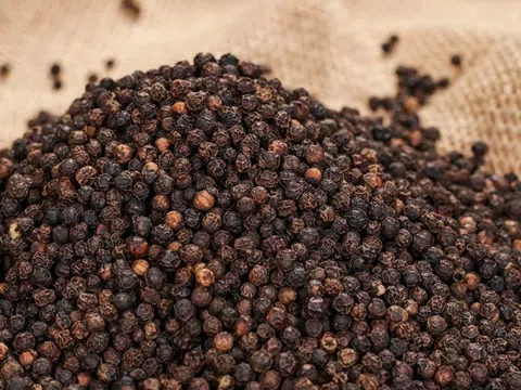 Lộ diện 3 quốc gia rót tiền khủng mua 41% lượng ‘vàng đen’ của Việt Nam