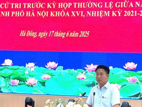 Cử tri Hà Đông kiến nghị vấn đề liên quan đến đất dịch vụ
