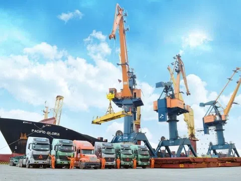 Chủ tịch và Tổng Giám đốc Viconship cùng ứng cử vào HĐQT Vận tải và xếp dỡ Hải An