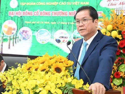 VRG sẽ đầu tư thêm 70.000 ha cao su tại Lào, Campuchia