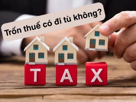 11 hành vi bị xem là trốn thuế