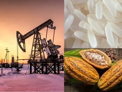 Thị trường ngày 18/6: Giá dầu tăng hơn 4%, đường giảm 3%