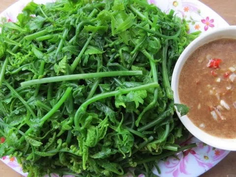 Loại rau mọc đầy rừng Việt Nam, tốt ngang nhân sâm, giá tương đương thịt bò loại ngon, người Trung Quốc săn lùng từng bó
