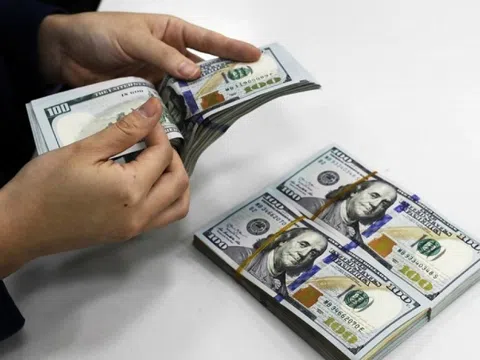 Tỷ giá trung tâm lập đỉnh mới 25.031 VND/USD