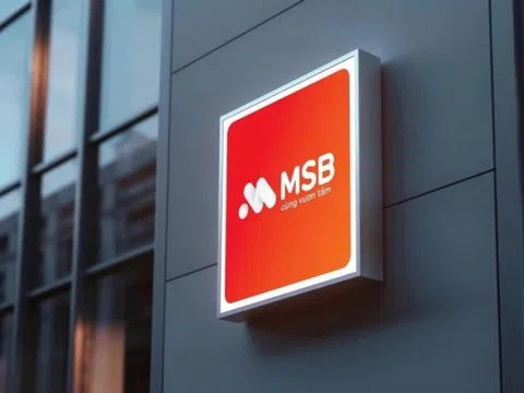 6.500 tỷ đổ vào MSB: Vì sao loạt tổ chức quốc tế chọn mặt gửi vàng?