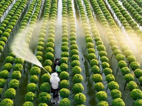 3 ngành học triển vọng tại Việt Nam: Ra trường dễ có việc, thu nhập đáng mơ ước